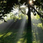 朝の時間を活用する方法