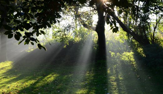 朝の時間を活用する方法